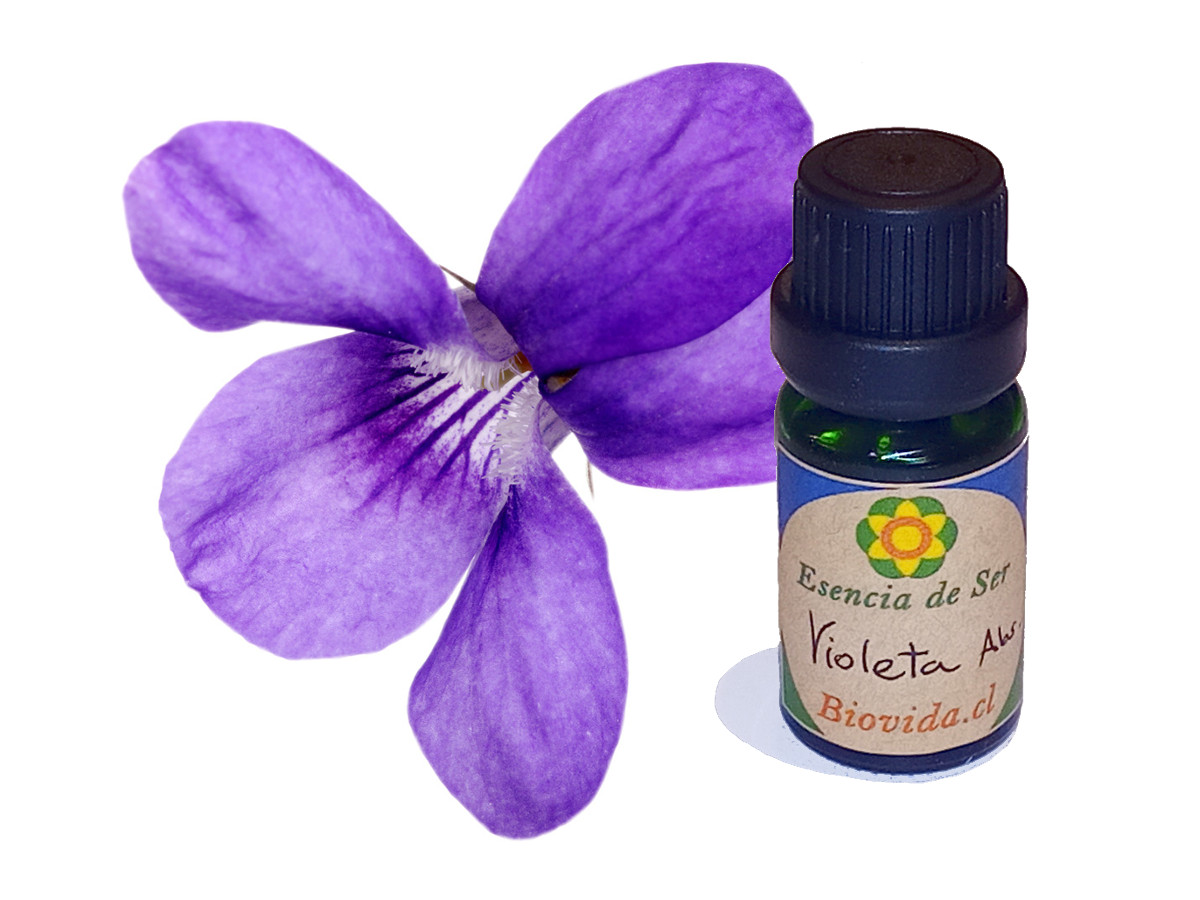 Aceite Esencial de Violeta (Absoluto) - BioVida