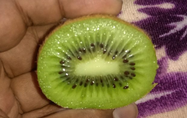 A half cut kiwifruit in West Bengal, India. Photo taken by Yogabrata Chakraborty, on December 31, 2022.