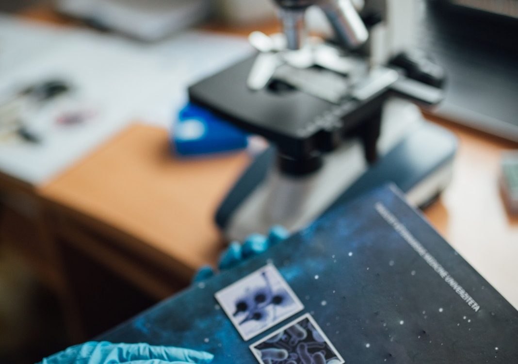 Trabajo de laboratorio con microscopio. Fotografía referencial sobre investigación del envejecimiento.