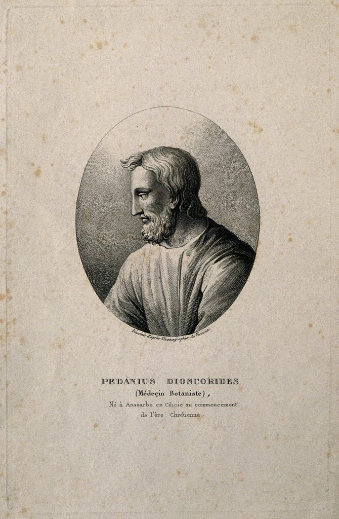 Representación histórica de Dioscórides.